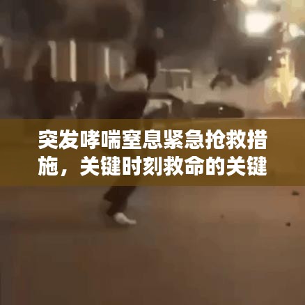 设计风格指南 第170页
