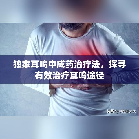 独家耳鸣中成药治疗法,探寻有效治疗耳鸣途径