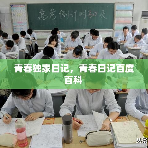 青春独家日记,青春日记百度百科