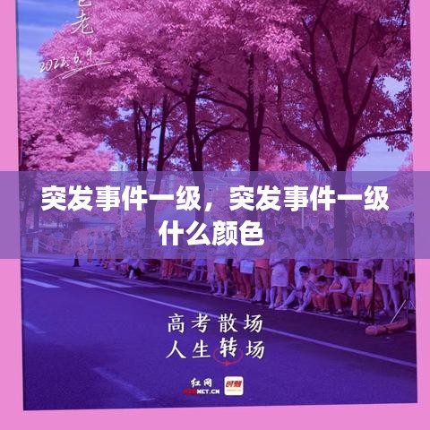 突发事件一级，突发事件一级什么颜色 