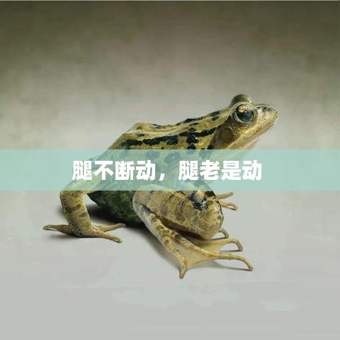 天南地北 第3页