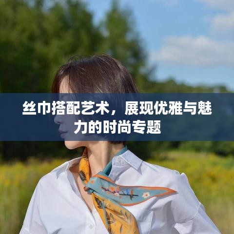 丝巾搭配艺术，展现优雅与魅力的时尚专题