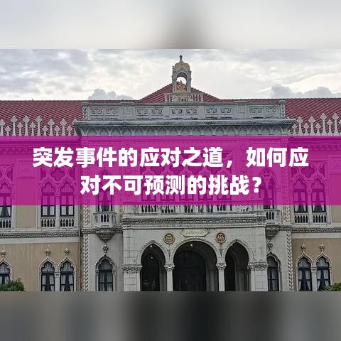 虫言鸟迹 第3页