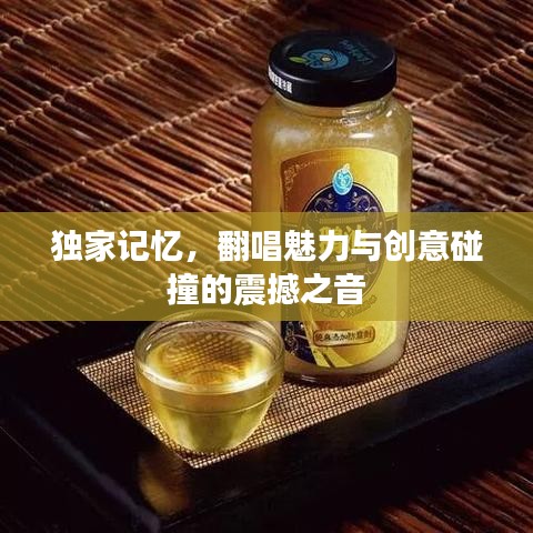 独家记忆，翻唱魅力与创意碰撞的震撼之音