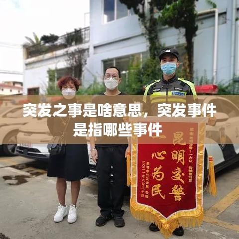 设计风格指南 第167页