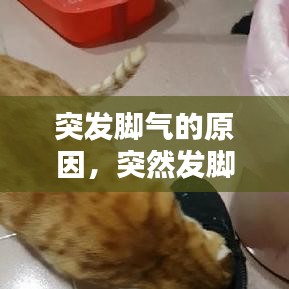 突发脚气的原因,突然发脚气