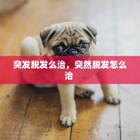 突发脱发么治,突然脱发怎么治