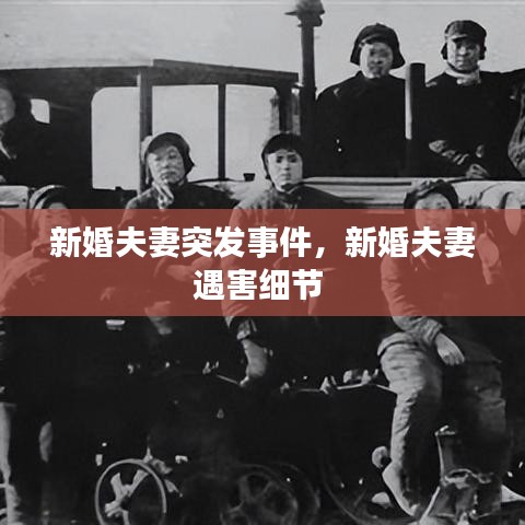 避难就易 第3页