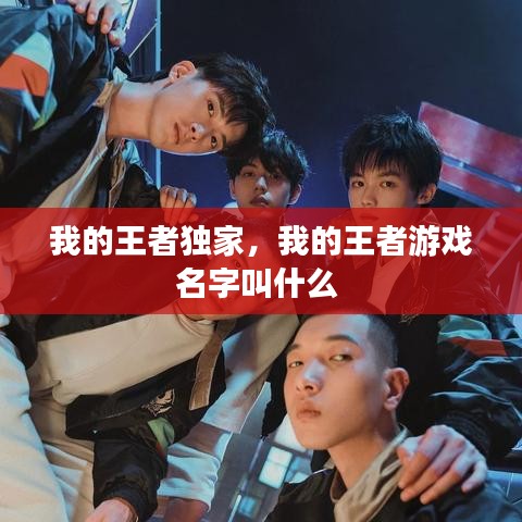 我的王者独家，我的王者游戏名字叫什么 