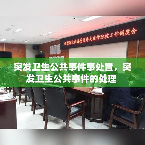 突发卫生公共事件事处置,突发卫生公共事件的处理