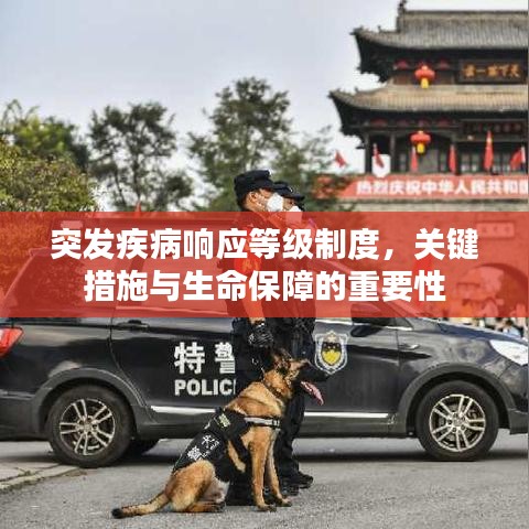 张皇失措 第3页