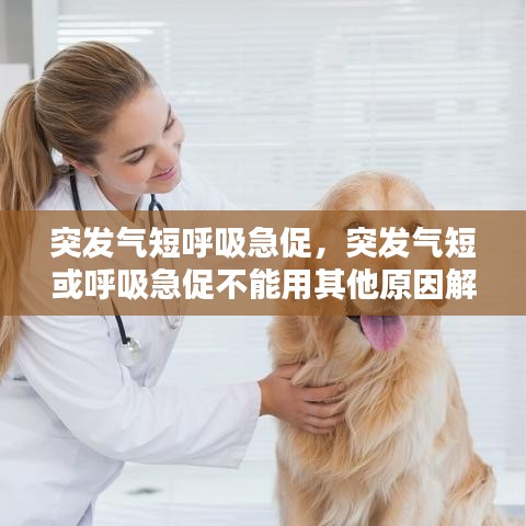 张张屈屈 第3页