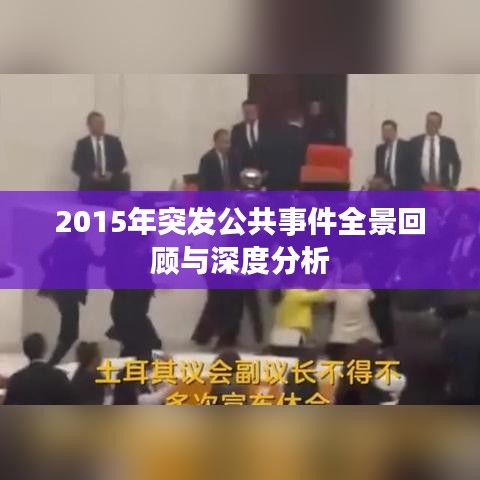 2015年突发公共事件全景回顾与深度分析