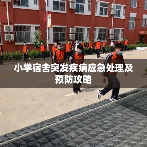 小学宿舍突发疾病应急处理及预防攻略