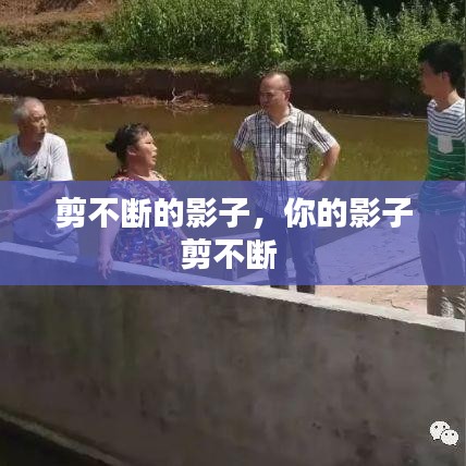 剪不断的影子,你的影子剪不断