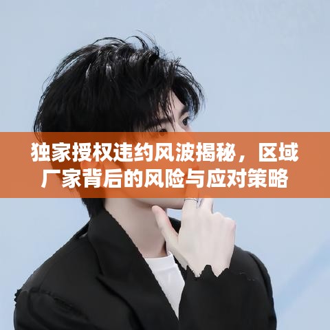 独家授权违约风波揭秘,区域厂家背后的风险与应对策略