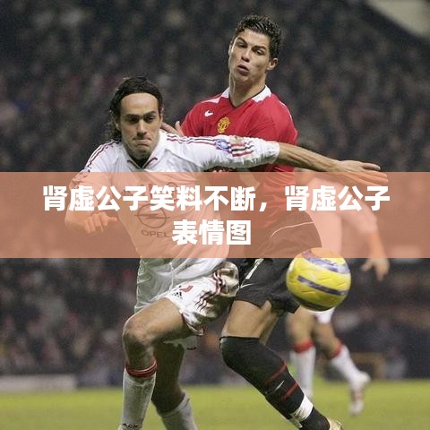 肾虚公子笑料不断，肾虚公子表情图 