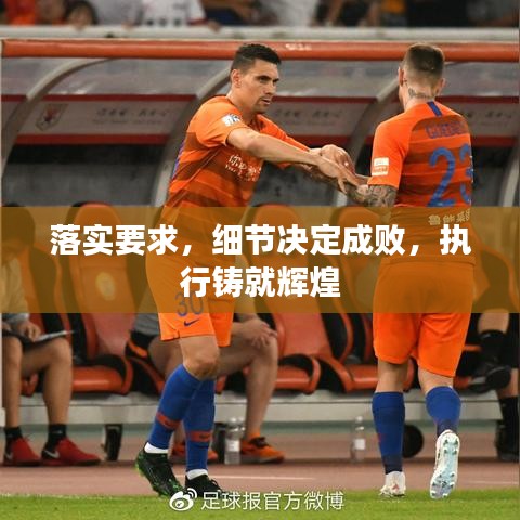 落实要求,细节决定成败,执行铸就辉煌