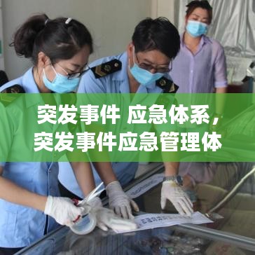 突发事件 应急体系,突发事件应急管理体制的结构框架