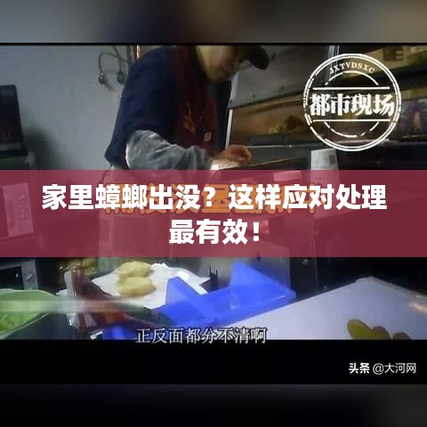 家里蟑螂出没?这样应对处理最有效!