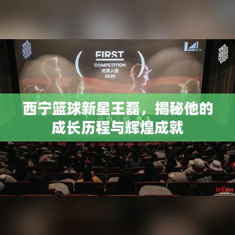 西宁篮球新星王磊，揭秘他的成长历程与辉煌成就