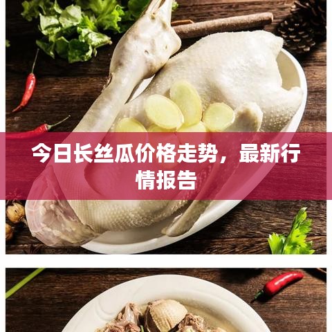 今日长丝瓜价格走势，最新行情报告