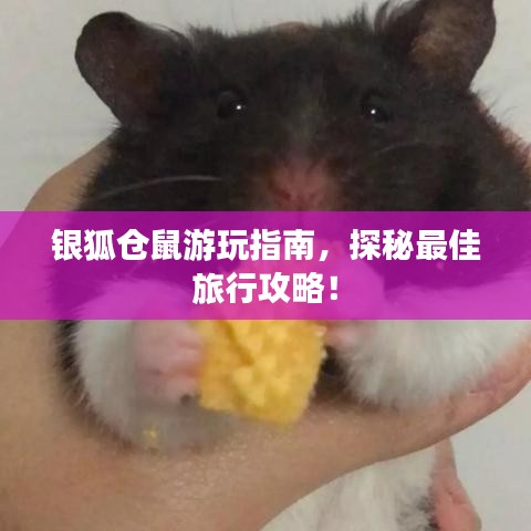 张弛不定 第3页