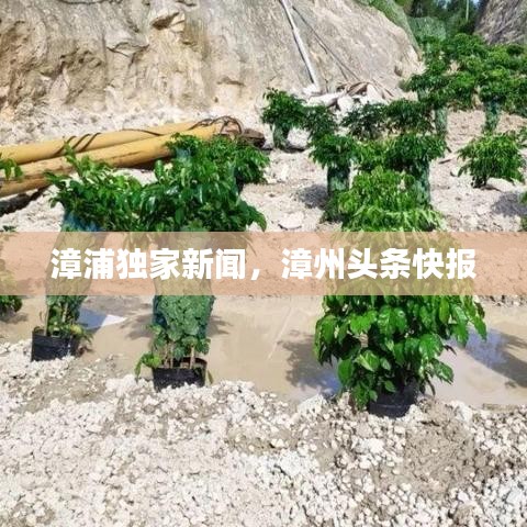 漳浦独家新闻，漳州头条快报