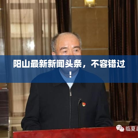 阳山最新新闻头条，不容错过！