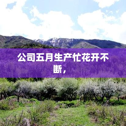 公司五月生产忙花开不断， 