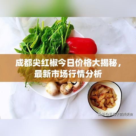 成都尖红椒今日价格大揭秘，最新市场行情分析