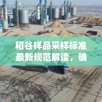 稻谷样品采样标准最新规范解读，确保精准采样，助力农业质量提升