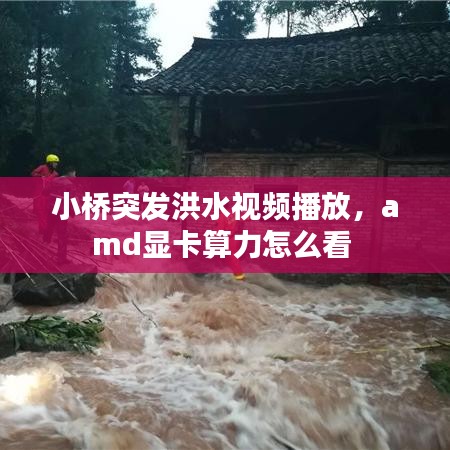 小桥突发洪水视频播放，amd显卡算力怎么看 