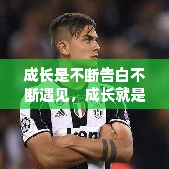 成长是不断告白不断遇见，成长就是不断告别下一句 