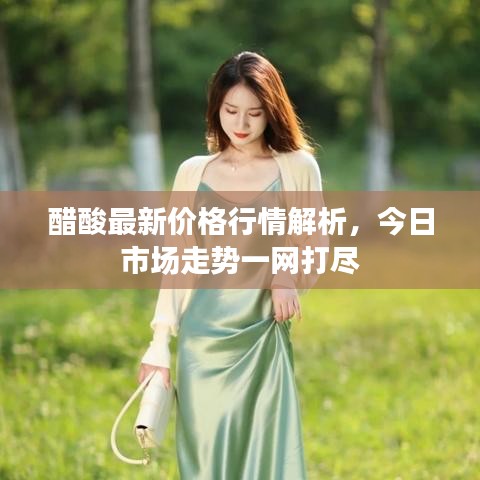 醋酸最新价格行情解析，今日市场走势一网打尽