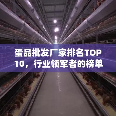 设计风格指南 第160页