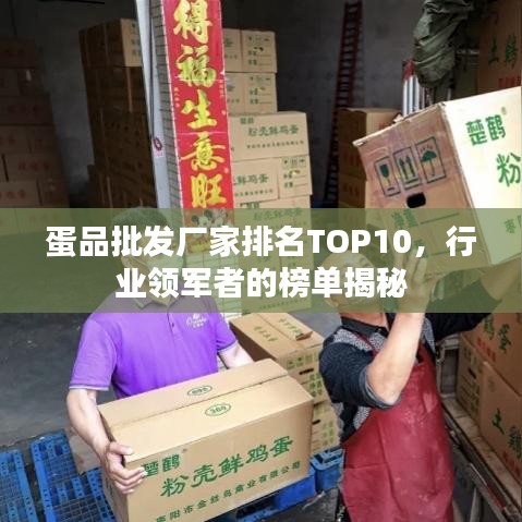 蛋品批发厂家排名TOP10,行业领军者的榜单揭秘