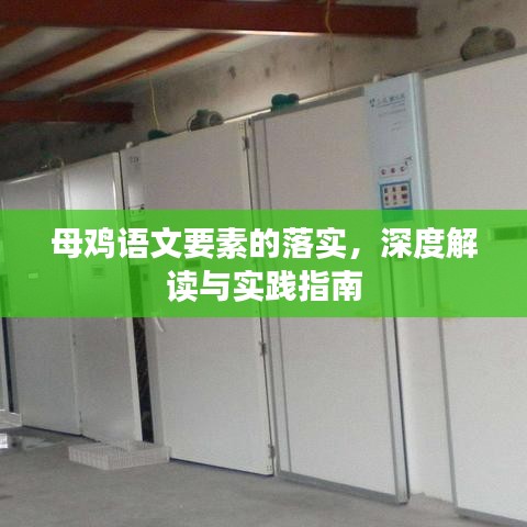 母鸡语文要素的落实，深度解读与实践指南