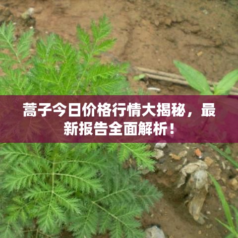 料事如神 第2页