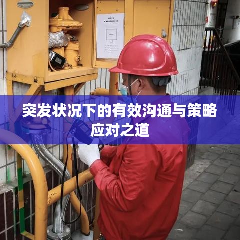 突发状况下的有效沟通与策略应对之道