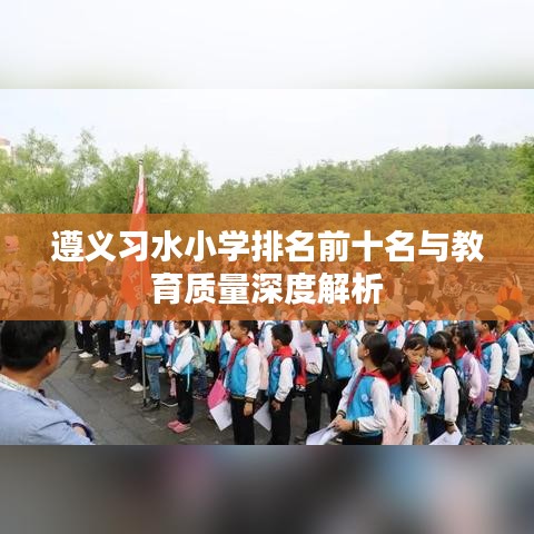 遵义习水小学排名前十名与教育质量深度解析