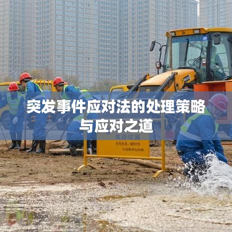 突发事件应对法的处理策略与应对之道