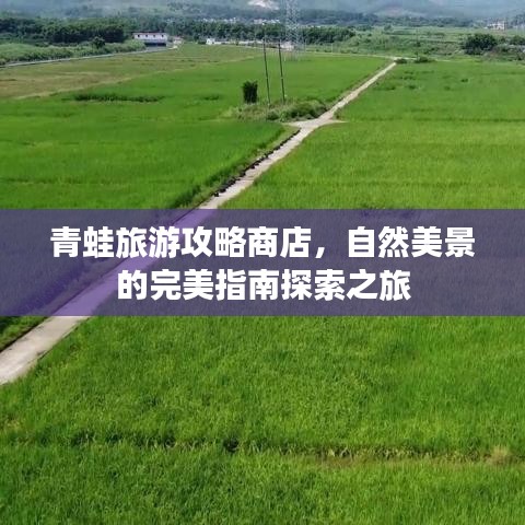 青蛙旅游攻略商店，自然美景的完美指南探索之旅