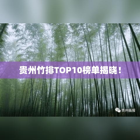 贵州竹排TOP10榜单揭晓！
