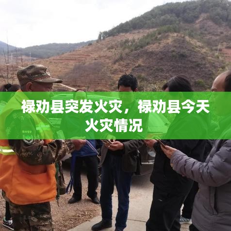 禄劝县突发火灾，禄劝县今天火灾情况 