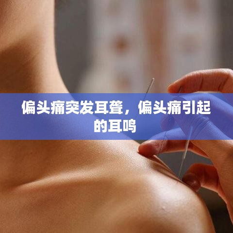 破马张飞 第3页