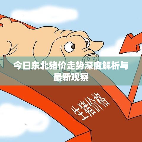 今日东北猪价走势深度解析与最新观察