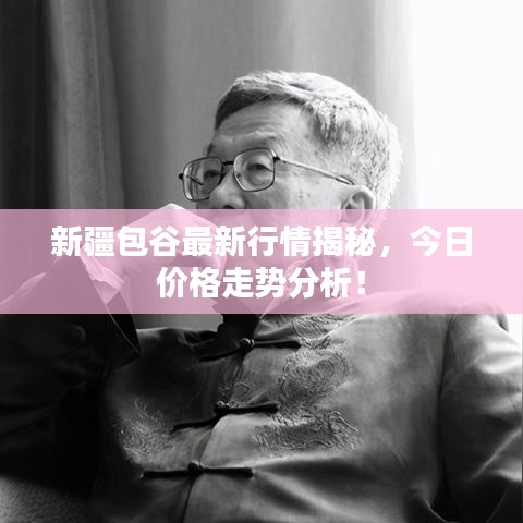 新疆包谷最新行情揭秘，今日价格走势分析！
