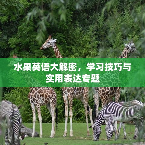 水果英语大解密，学习技巧与实用表达专题