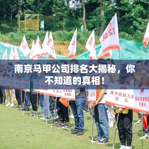 南京马甲公司排名大揭秘，你不知道的真相！
